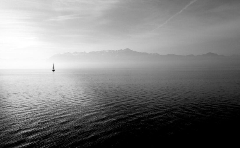 Occaecati earum provident quo