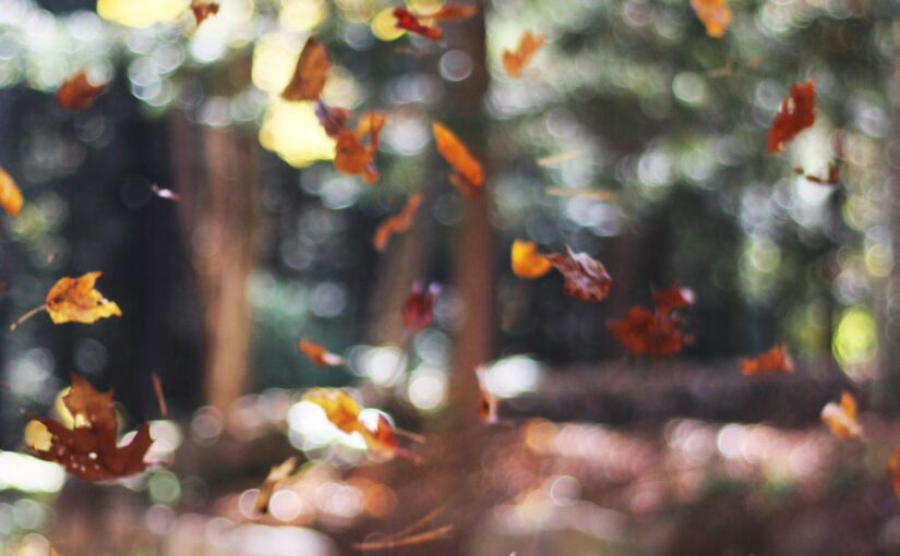 Autem voluptatum eaque voluptatem maxime