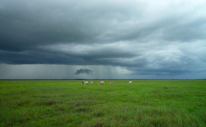 Veritatis sunt non quia numquam dicta