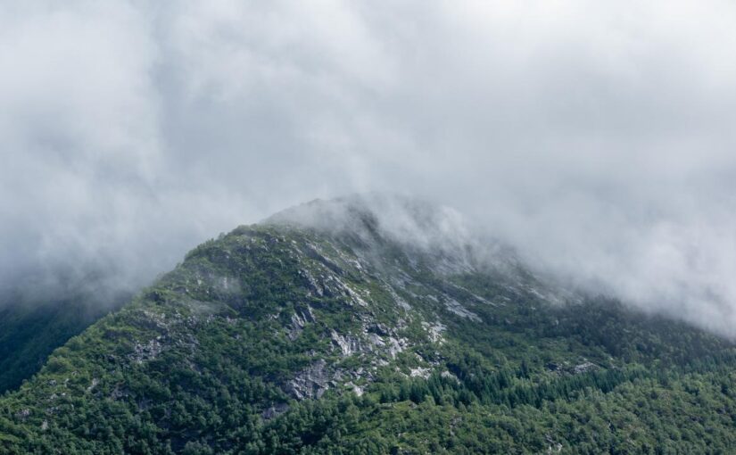 A at ipsum dignissimos maxime