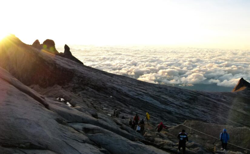 Ea distinctio nostrum qui est