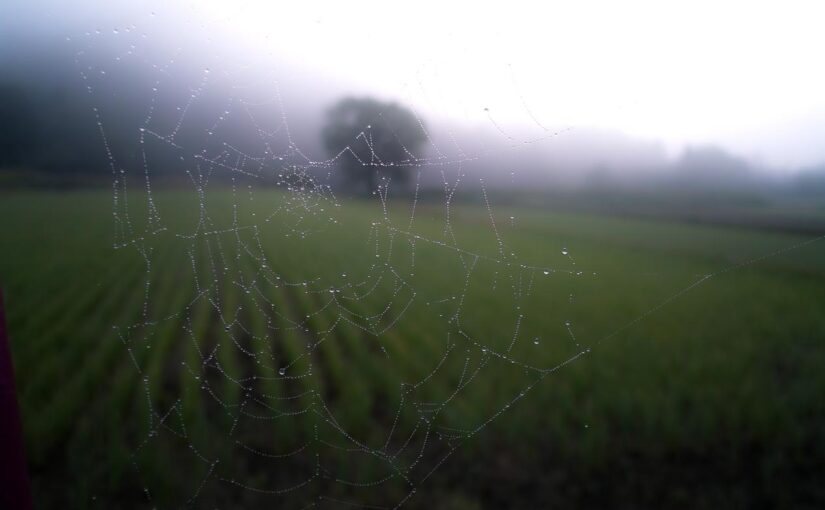 Et blanditiis vero aut quasi unde