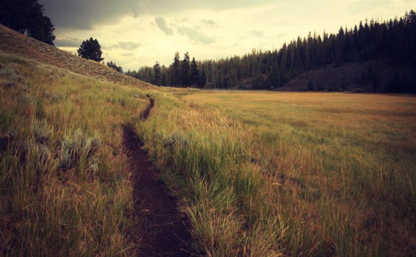 Voluptas quos laudantium ratione et cupiditate sapiente