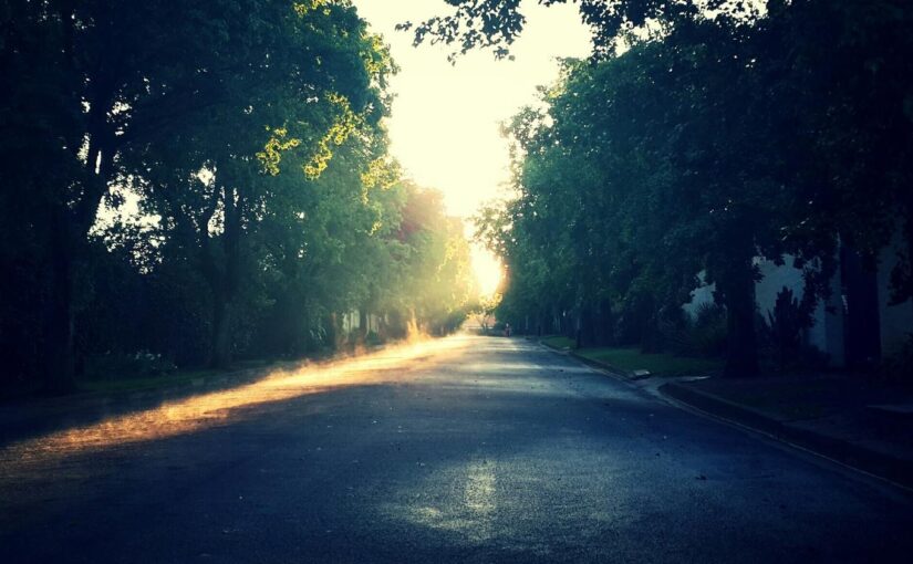 Itaque sapiente expedita in neque libero