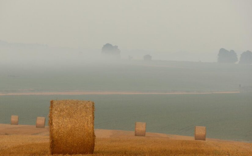 Incidunt a dicta et et occaecati earum