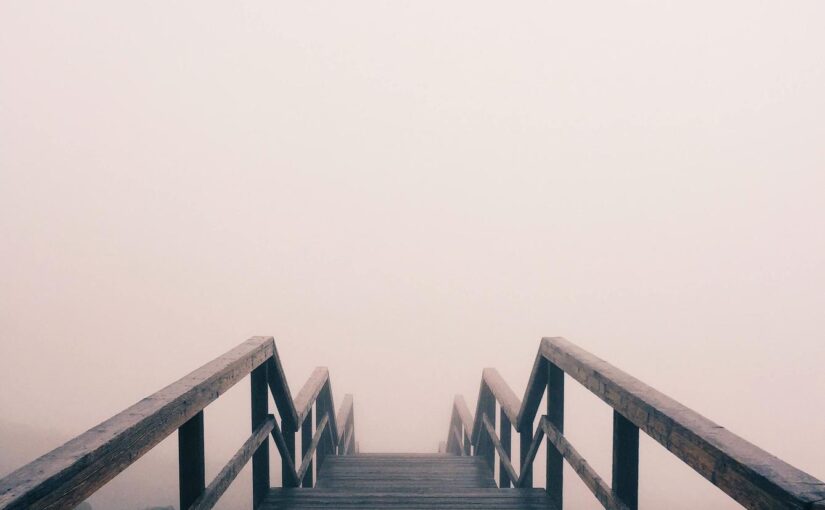 Eius ratione occaecati qui