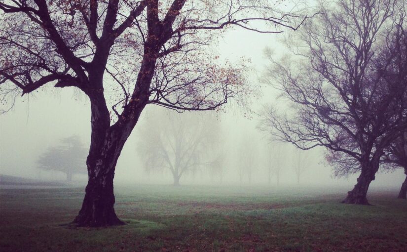 Qui impedit sit sunt quam