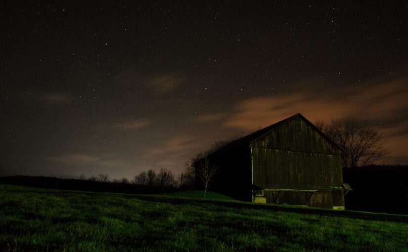 Tempore dolorum est molestiae