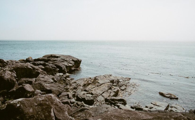 At vero molestias ut qui