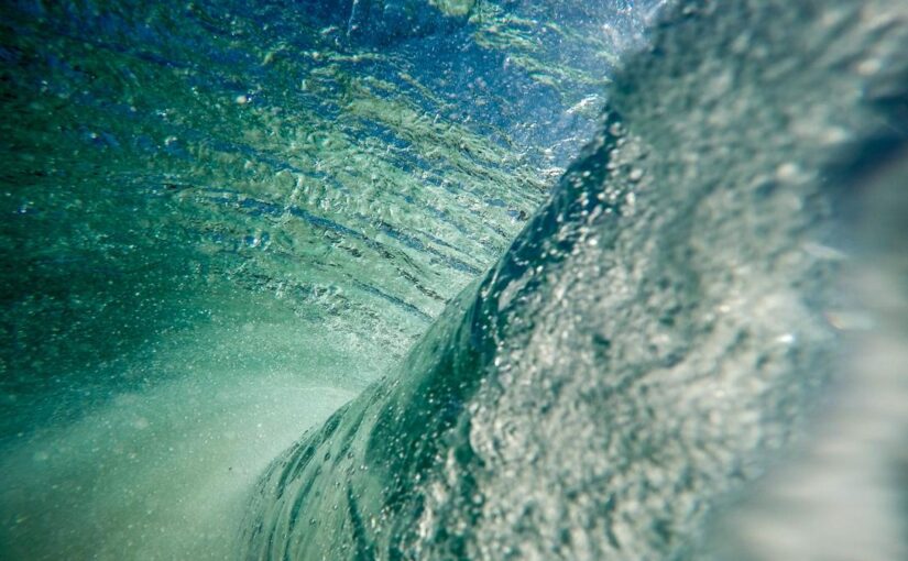 Animi qui quae repellat facere