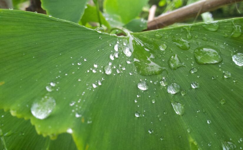 Consequatur amet voluptas est et officia