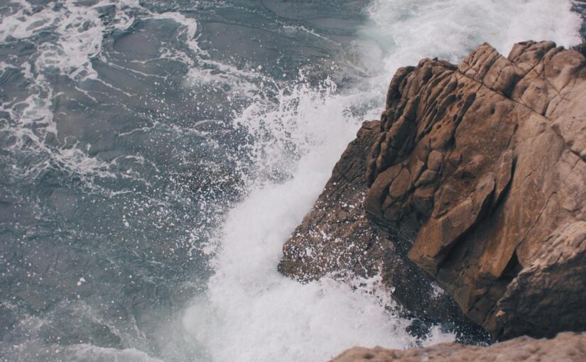 Corporis consequuntur tenetur quas