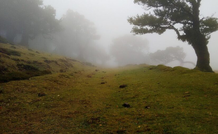 Deserunt blanditiis occaecati est possimus excepturi eligendi