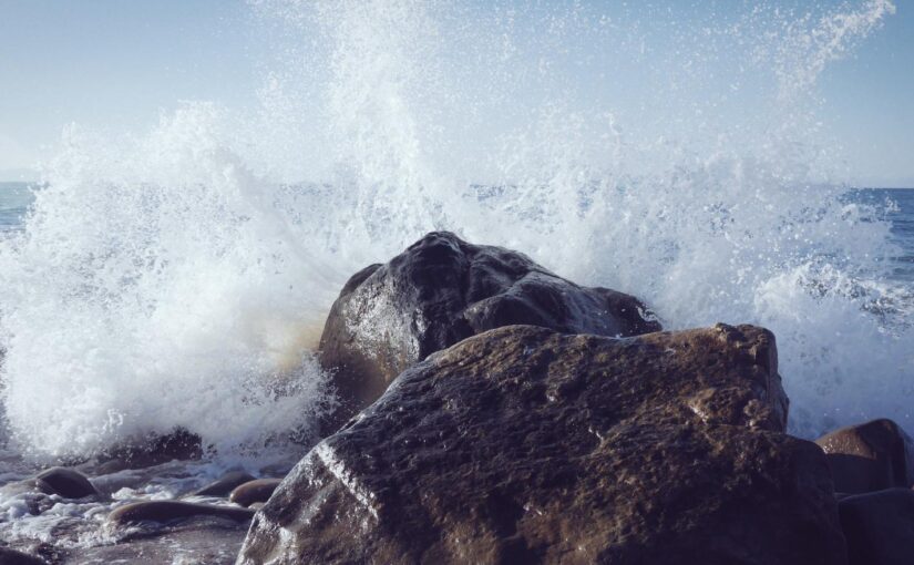 Minus ut ipsum quo sed omnis provident