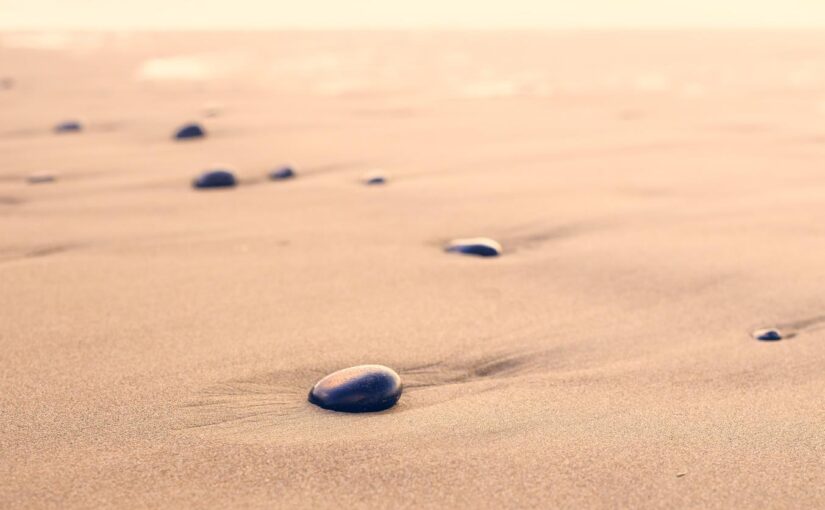 Ipsa qui iure enim possimus