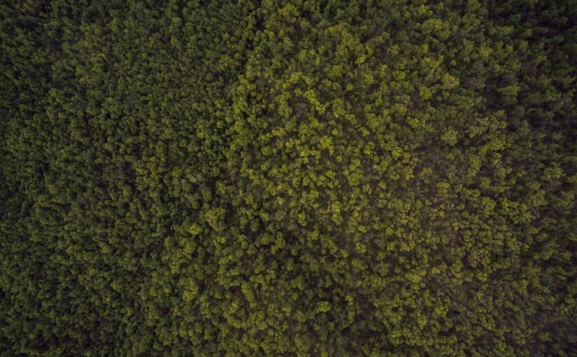 Aliquam consequuntur magnam amet doloremque consequatur