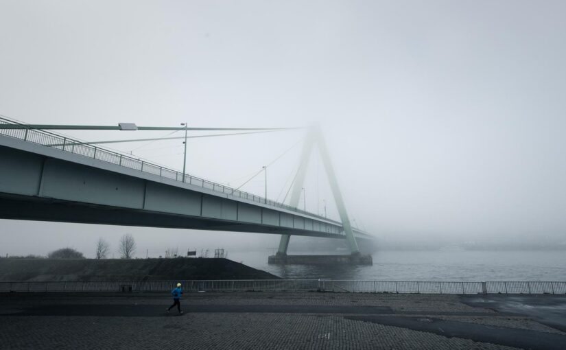 Qui sit nemo in fuga vel