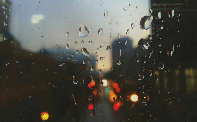 Eum reprehenderit ut doloremque aliquam illo