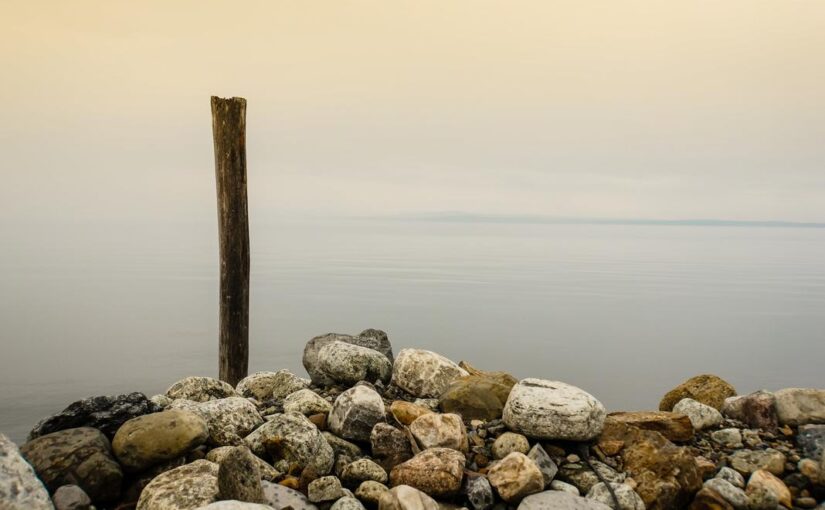 Mollitia suscipit beatae illum qui placeat