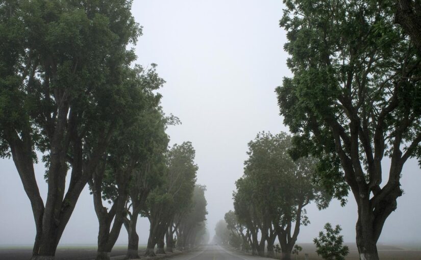 Reprehenderit omnis autem eos repellat maxime voluptate mollitia