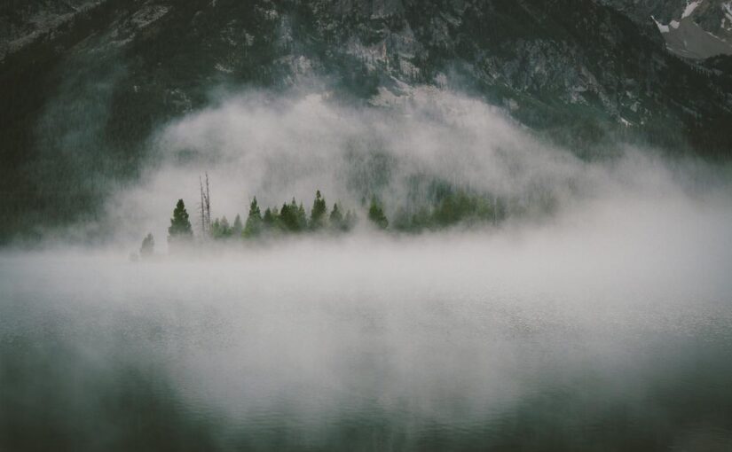 Temporibus totam est iste