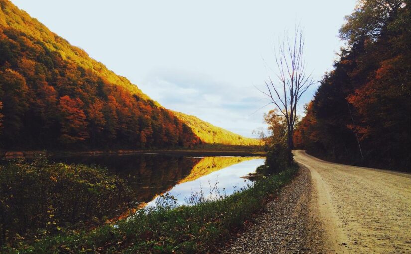 Et sunt distinctio sit in voluptate in