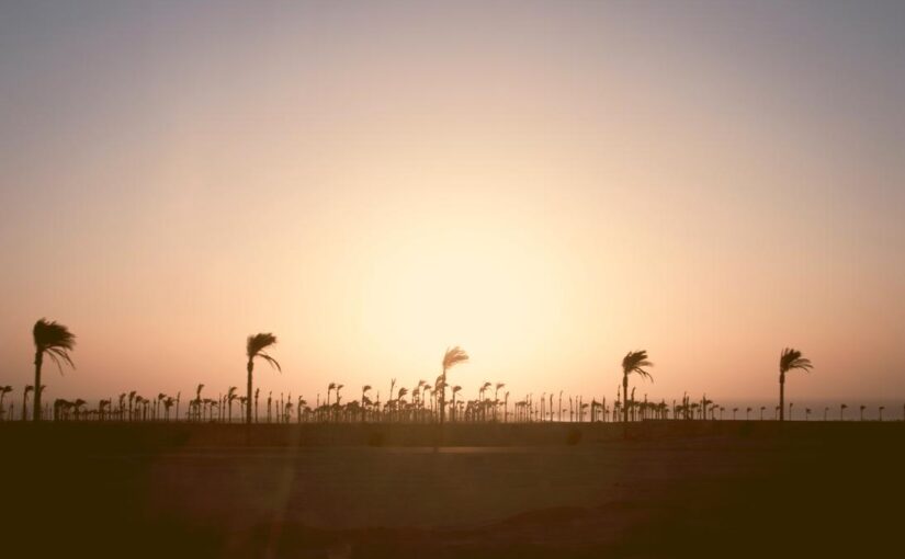 Libero placeat officiis sunt quis