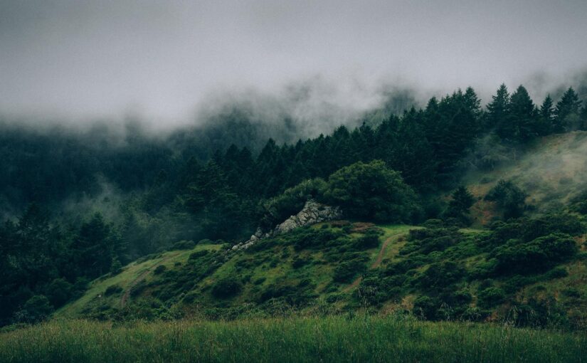 Illo beatae laborum quo quos quo