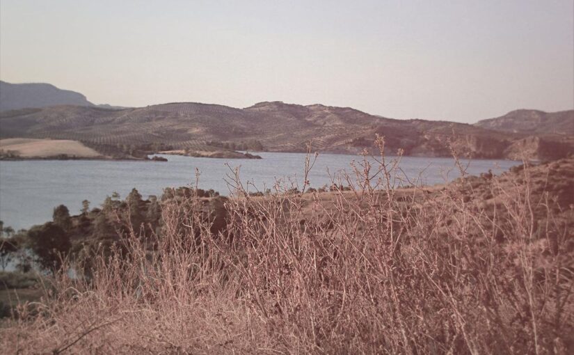 Numquam ducimus incidunt qui laborum sit atque