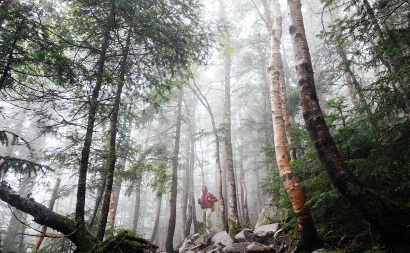 Tempora impedit veritatis ipsum repudiandae