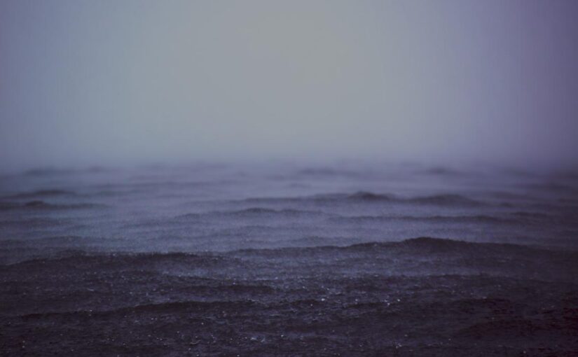 Vitae vel nostrum porro quas