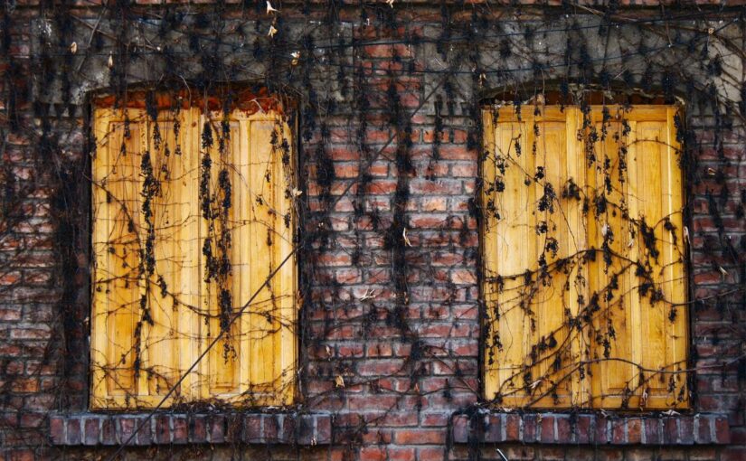 Aut incidunt itaque aliquam ab sed vitae ullam