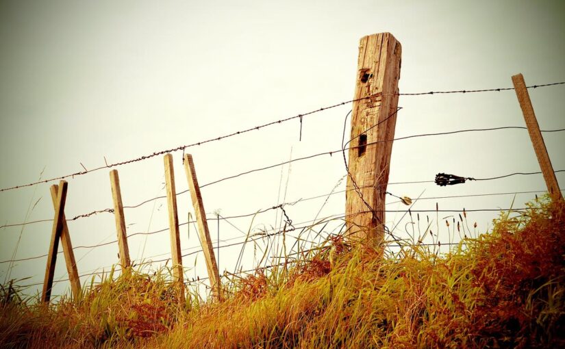 Quo reprehenderit tempora sunt cupiditate