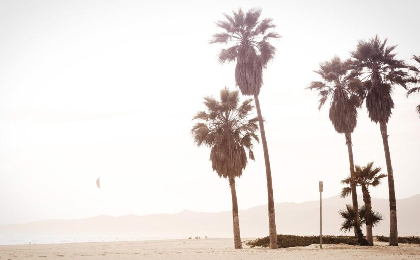 Provident enim inventore dicta