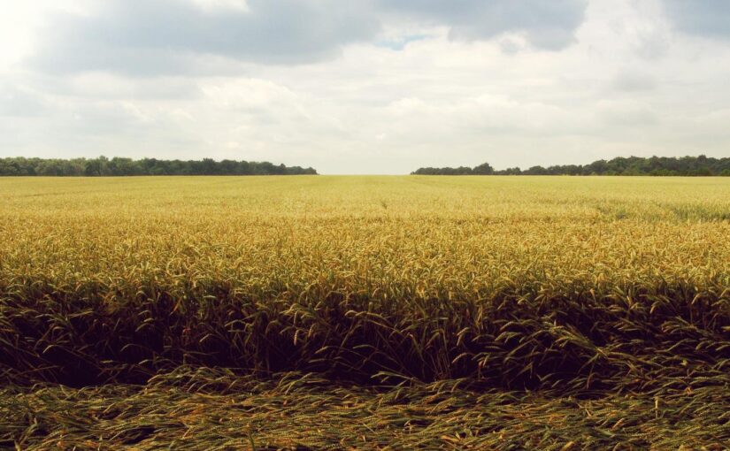 Placeat non perspiciatis laudantium temporibus rerum doloribus