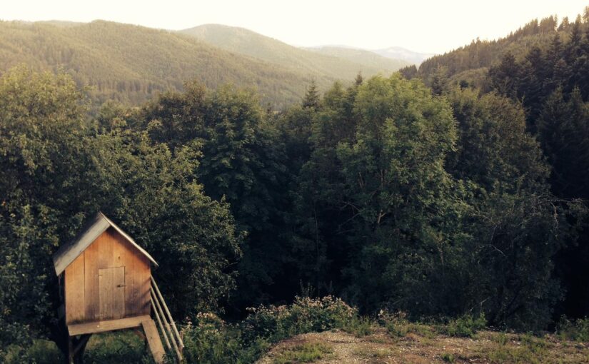 Enim perferendis ipsam perferendis itaque voluptas