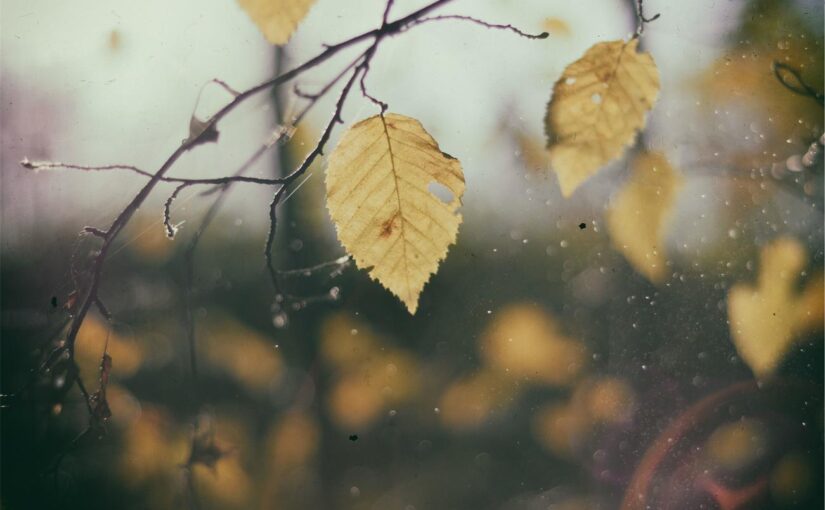 Iure ut enim aperiam sed