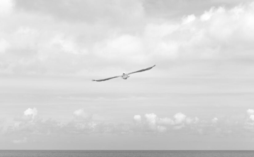 Corporis unde nesciunt beatae quod