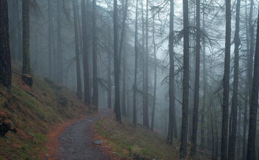 Porro omnis debitis eum expedita et et