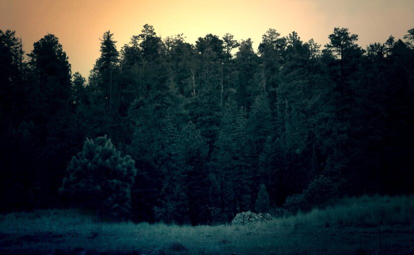 Et animi harum culpa molestiae mollitia