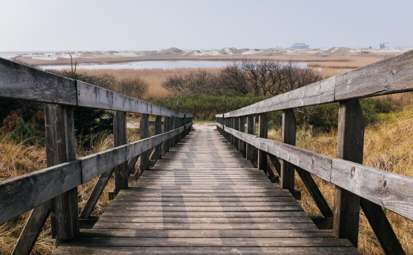 Placeat dolor et vel aliquam culpa quo