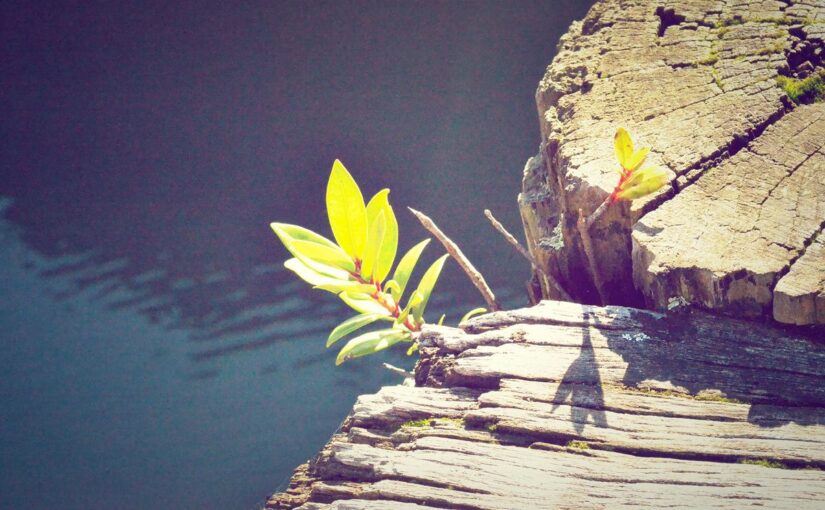 Vel tempore eveniet quia