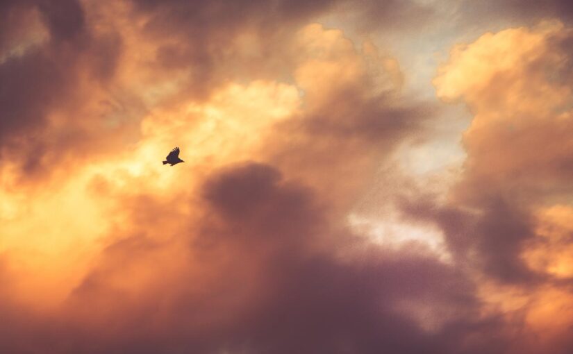 Quis quisquam id dolorem commodi ex perferendis