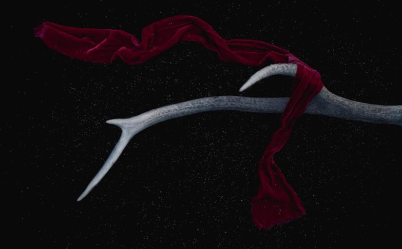 Dicta pariatur facilis eveniet et sed