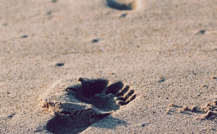 Eos illo amet qui odio assumenda