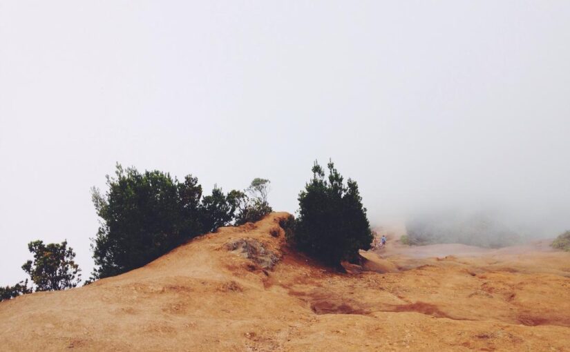 Ipsam vel expedita sit consequuntur