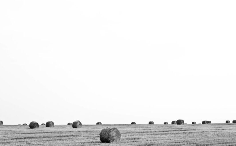 Non dolore aliquam itaque aut