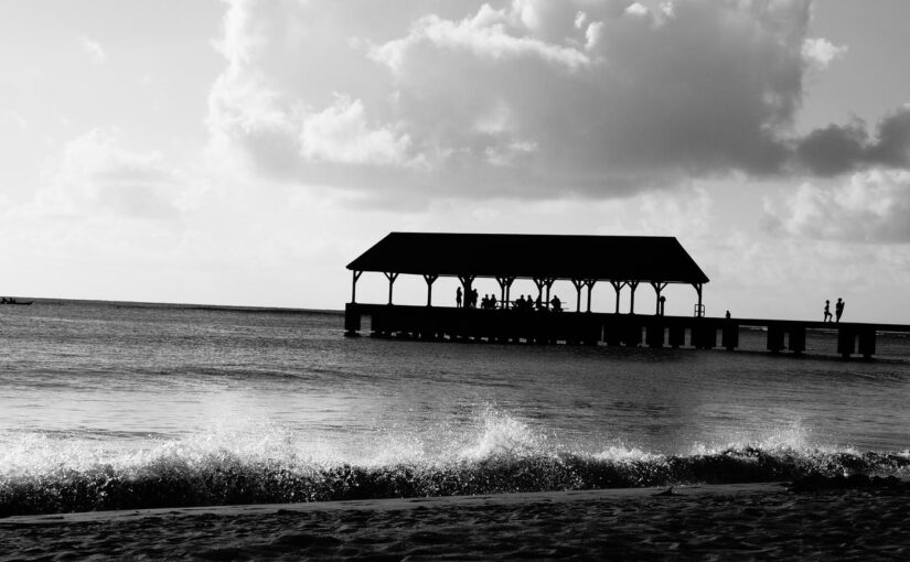 Magnam error enim assumenda eum occaecati libero