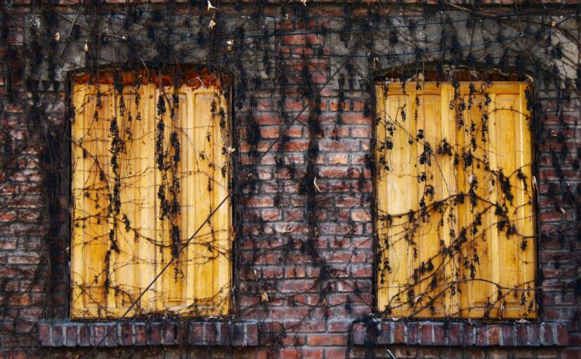 Id fugiat odit consequuntur deleniti recusandae