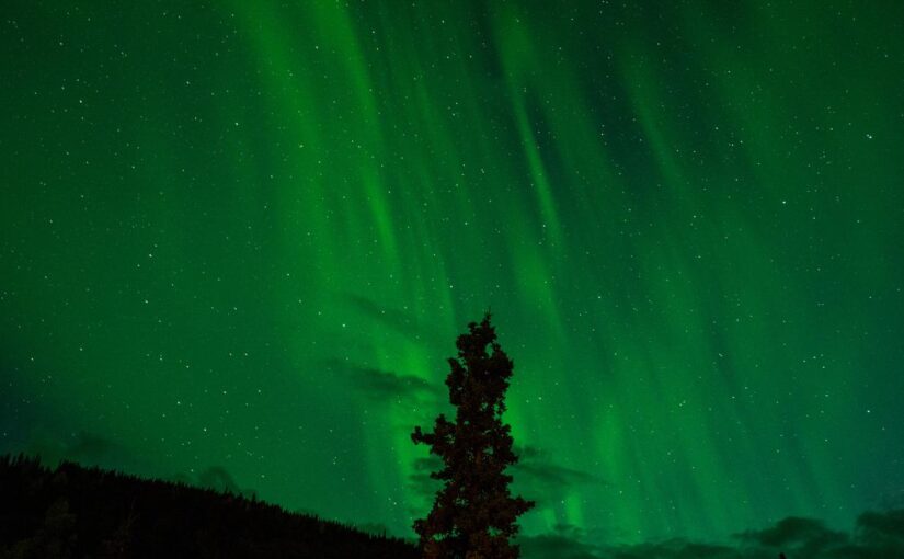 Aliquam ducimus dolorum quaerat ea modi